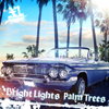 XL Middleton / Bright Lights Palm Trees