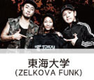 ZELKOVA FUNK (成蹊大学)