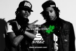 Pioneer STEEZ